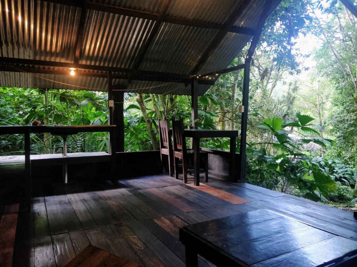 Los Mineros Guesthouse Dos Brazos Экстерьер фото
