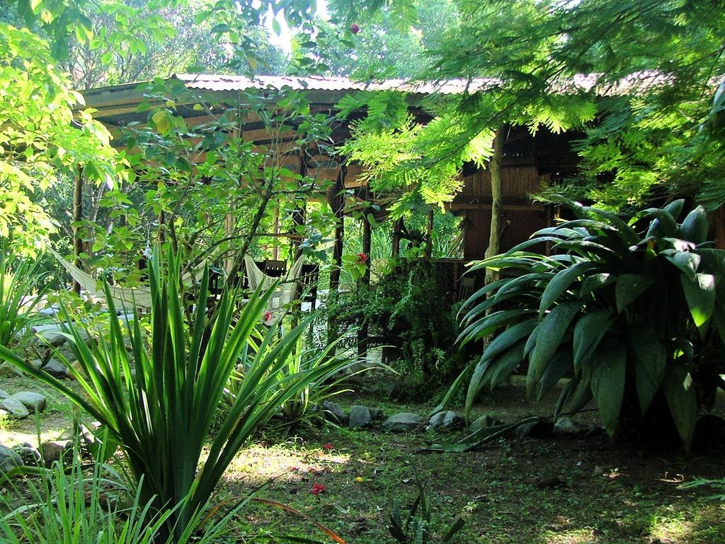 Los Mineros Guesthouse Dos Brazos Экстерьер фото