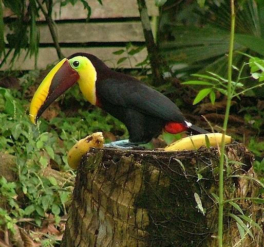 Los Mineros Guesthouse Dos Brazos Экстерьер фото