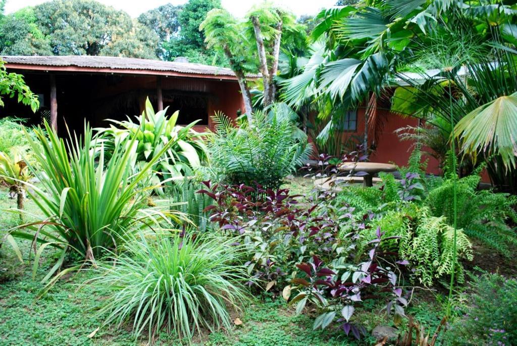 Los Mineros Guesthouse Dos Brazos Экстерьер фото
