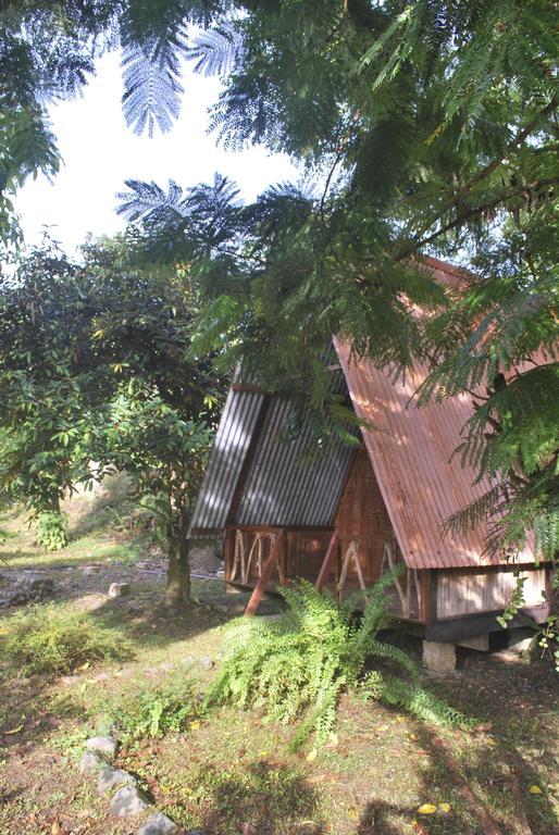 Los Mineros Guesthouse Dos Brazos Экстерьер фото