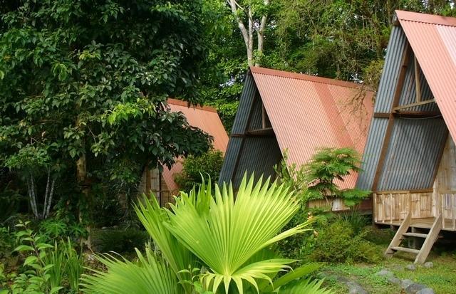 Los Mineros Guesthouse Dos Brazos Номер фото