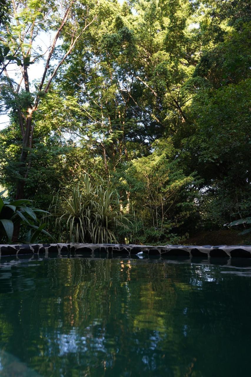 Los Mineros Guesthouse Dos Brazos Экстерьер фото